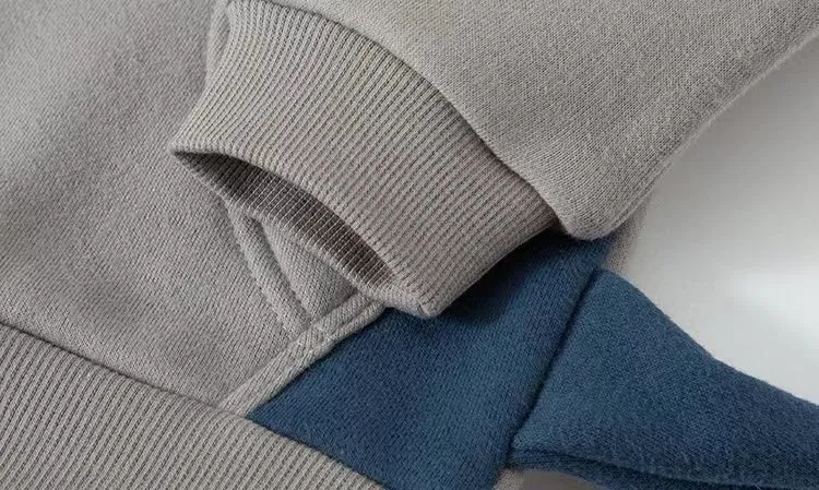 3D Dinosaur Colorblock Fleece Sweatshirt