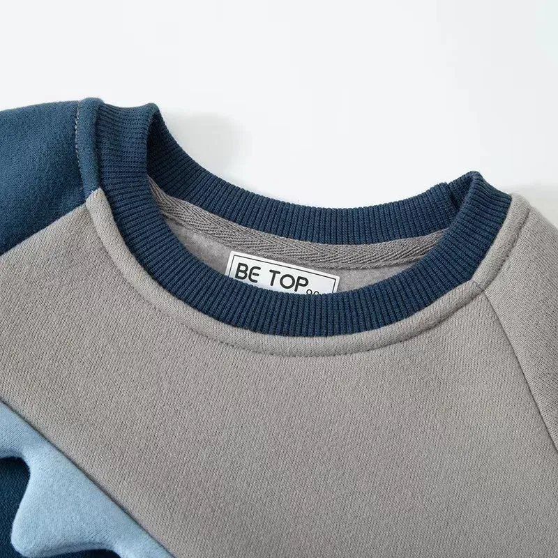 3D Dinosaur Colorblock Fleece Sweatshirt