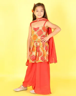 Organza Plazzo set