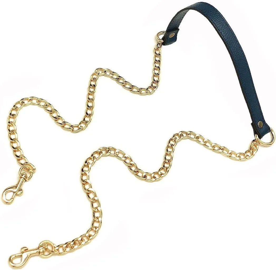 VanEnjoy 18MM Replacement Chain & Genuine Leather Shoulder Crossbody Straps for Handbags Purse Bags (Blue)